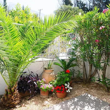 The Garden House Ionian Panorama & Infinity Pool Villa *